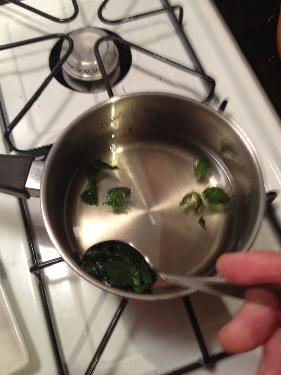 When room temperature remove the mint leaves and discard.