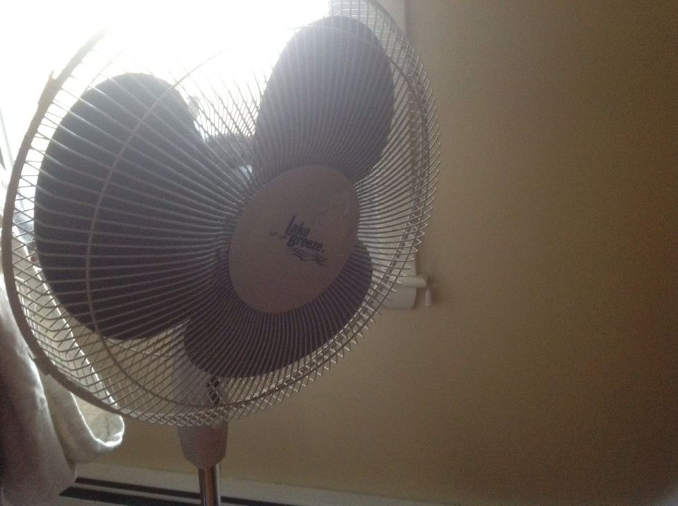 When the fan is plugged in it starts moving, which changes electical energy into KE.