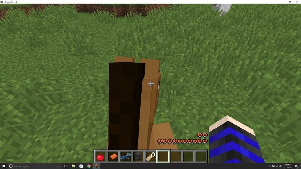 When the hearts appear stay on the horse and press "e".