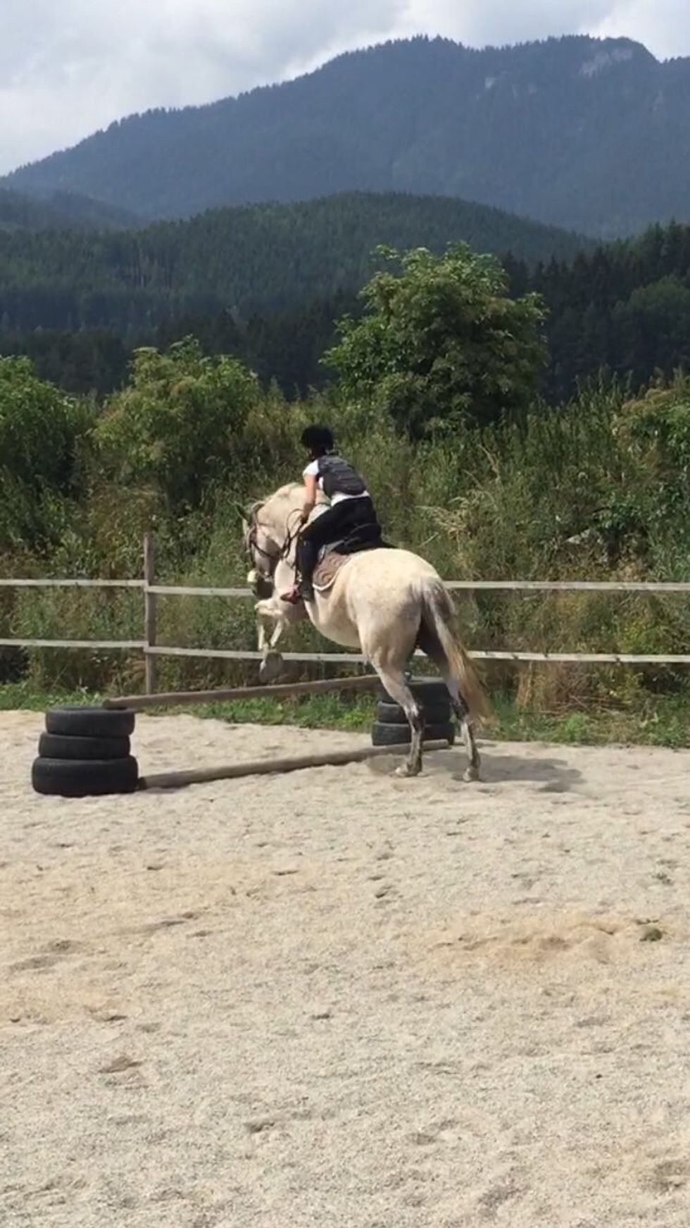When the horse is in the air, or it's on the ground just with his back legs, do the two-point seat like I do on that photo
