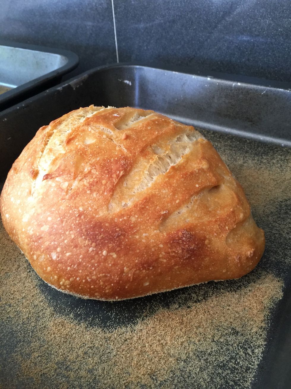 When the loaves are cooling, you'll probably hear tiny cracking sounds as the crust cools in the air.