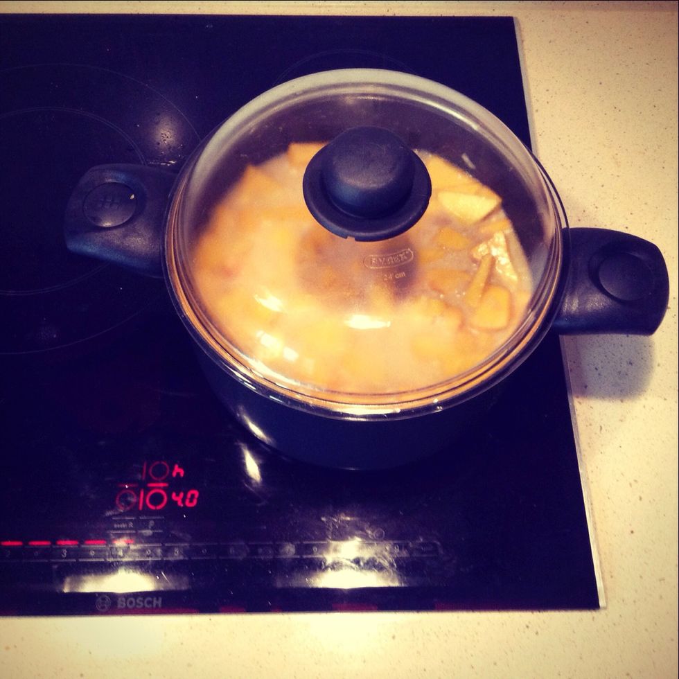 When the onion is translucent, add the diced pumpkin, the veggie broth and 1 can (14 fl oz) of coconut milk. Turn the heat down a bit and cook for just over 30' (lid on).