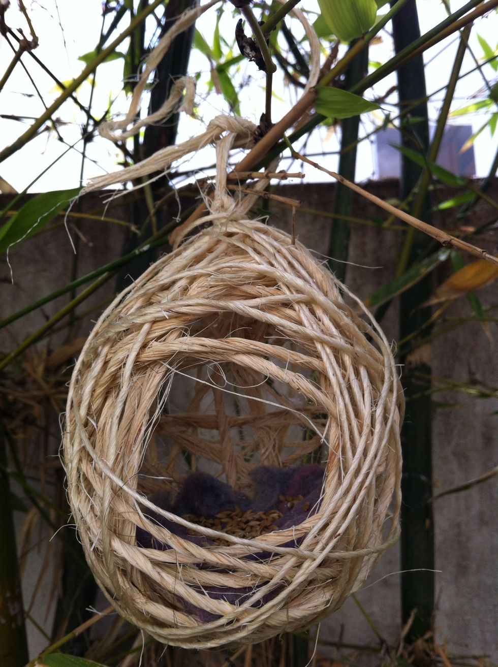 When the rope dries, strike the ballon and take it out. If you want, you could wrap it with another thinner rope. Put in the nest the fluff that the cloth drier leaves. Also put birdseeds.