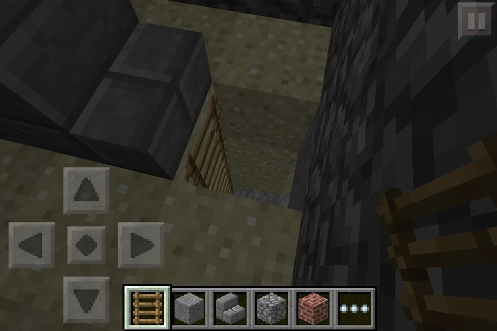 When the tunnel reaches the dungeon had a ladder