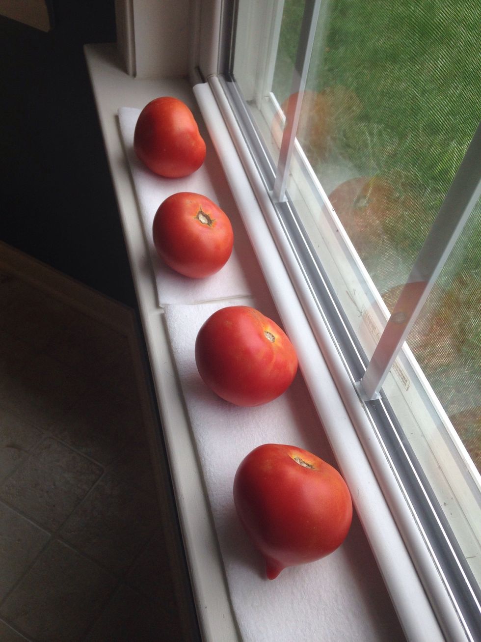 When they are a beautiful red, they are ripe! (About a few days later.)