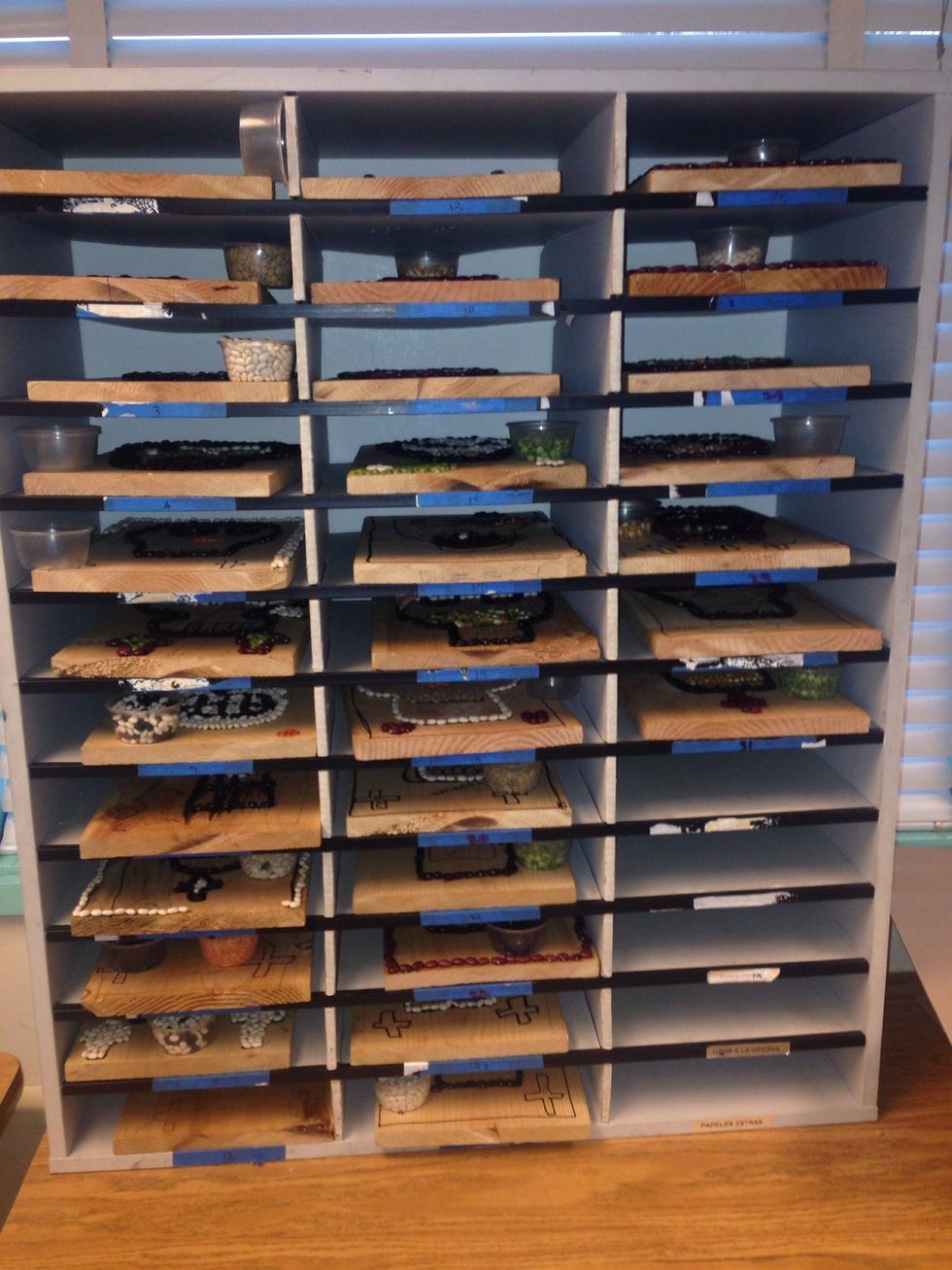 When we are not working on the project I like them to put it away in their cubbies. "Out of sight, out of mind." They keep the beans they are using in little cups.