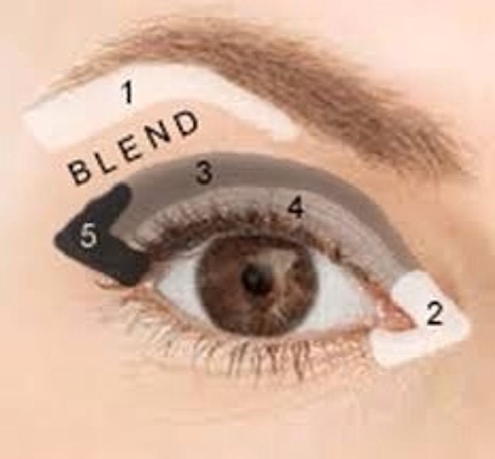 When you apply eyeshadow it goes from lightest, then blend, mid, light mid then dark on the outside corner. But make sure you spread it all around and up to you eyebrow and to the edge of the eyebrow