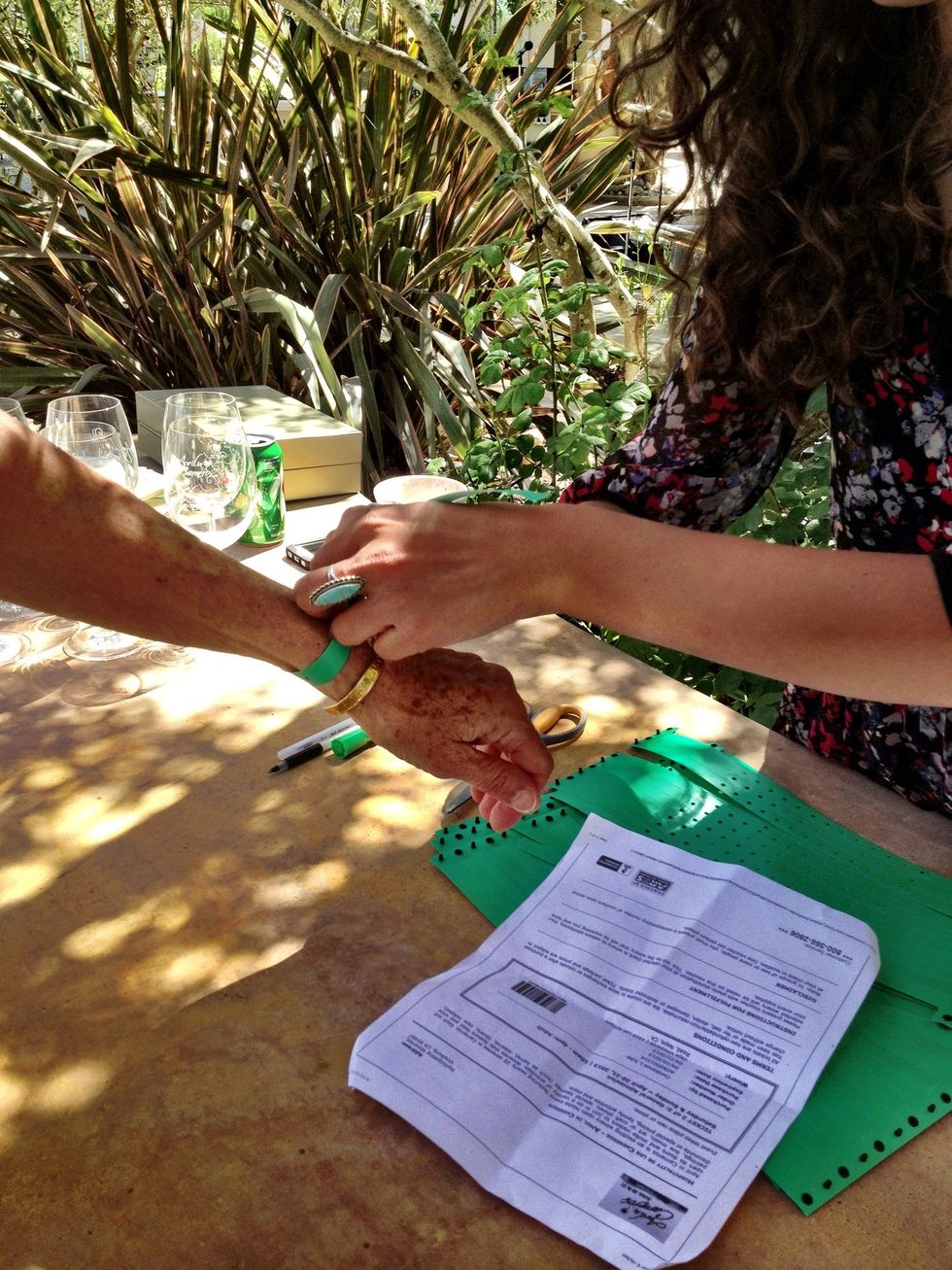 When you check in, you're given a wristband that gives you full access to each of the 20 participating wineries. Each offers wine but oh, so much more!