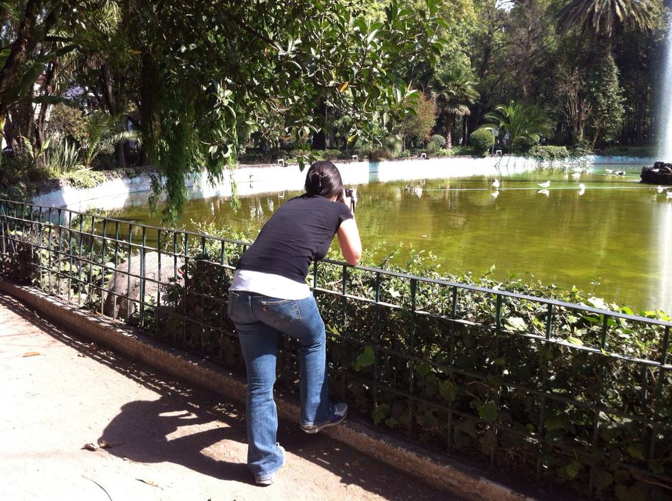 When you Found something interesting to Shoot , analize the best angle!