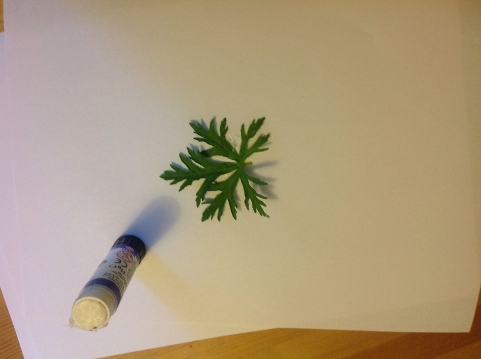 When you get home cover a piece of paper with glue and start sticking your treasures to it in a pattern you like.