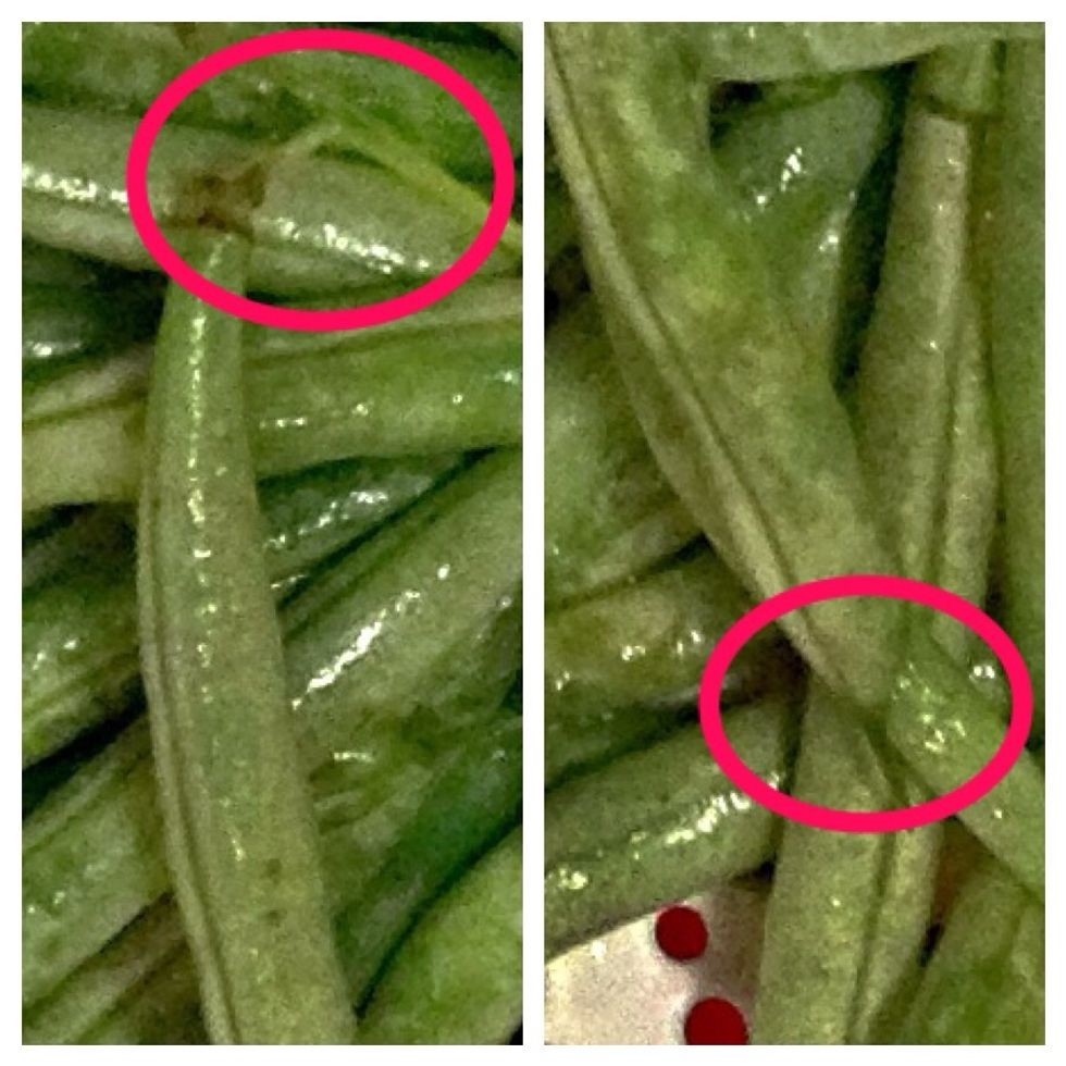 When you look at your beans, you'll see that one end has a "stem" of sorts (on the left). Simply pinch it, and bend the bean until it breaks. You *can* snap both ends - I never do.