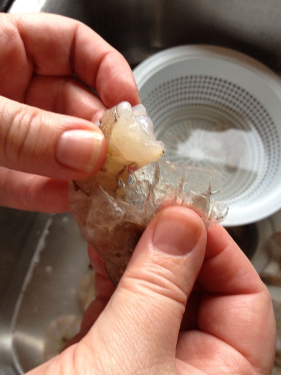 When you pinch and gently pull, the top half of the shell will come loose.