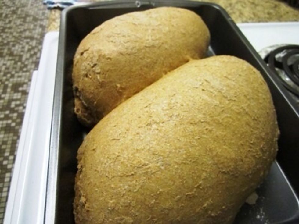 When you pull the bread out, it should be a nice light brown and should not look doughy.  If the bread looks more white than brown, it needs to bake longer.