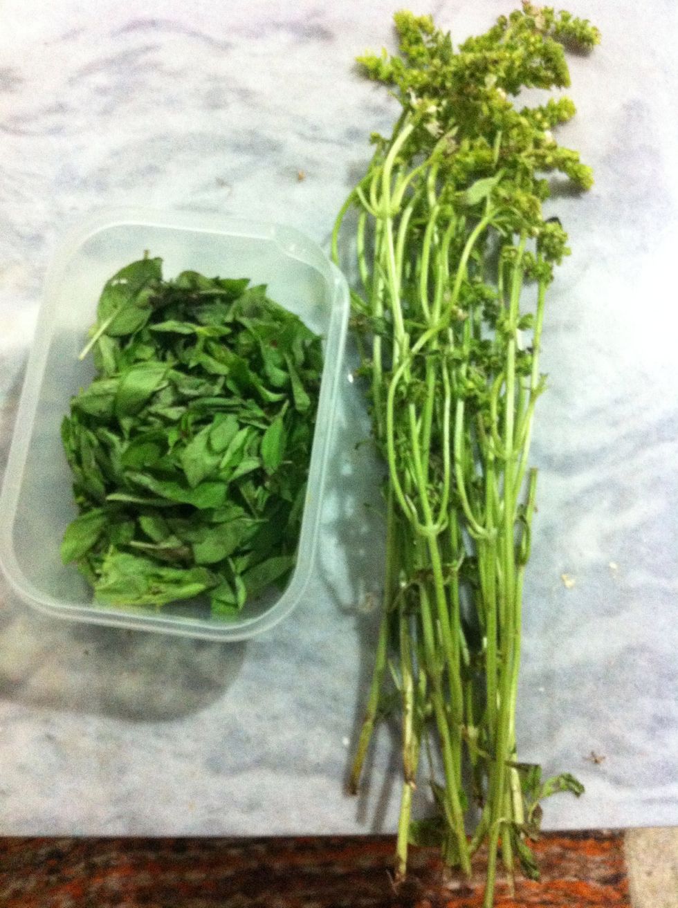 When you're done, it should look like this. Save the stems to make some nice basil herbal tea!