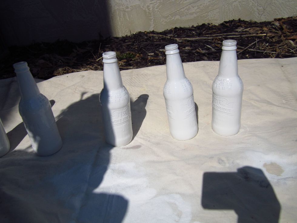 When you're finished, let them dry in the sun for an hour. Then spray on a second layer, and let them dry, again, for an hour.