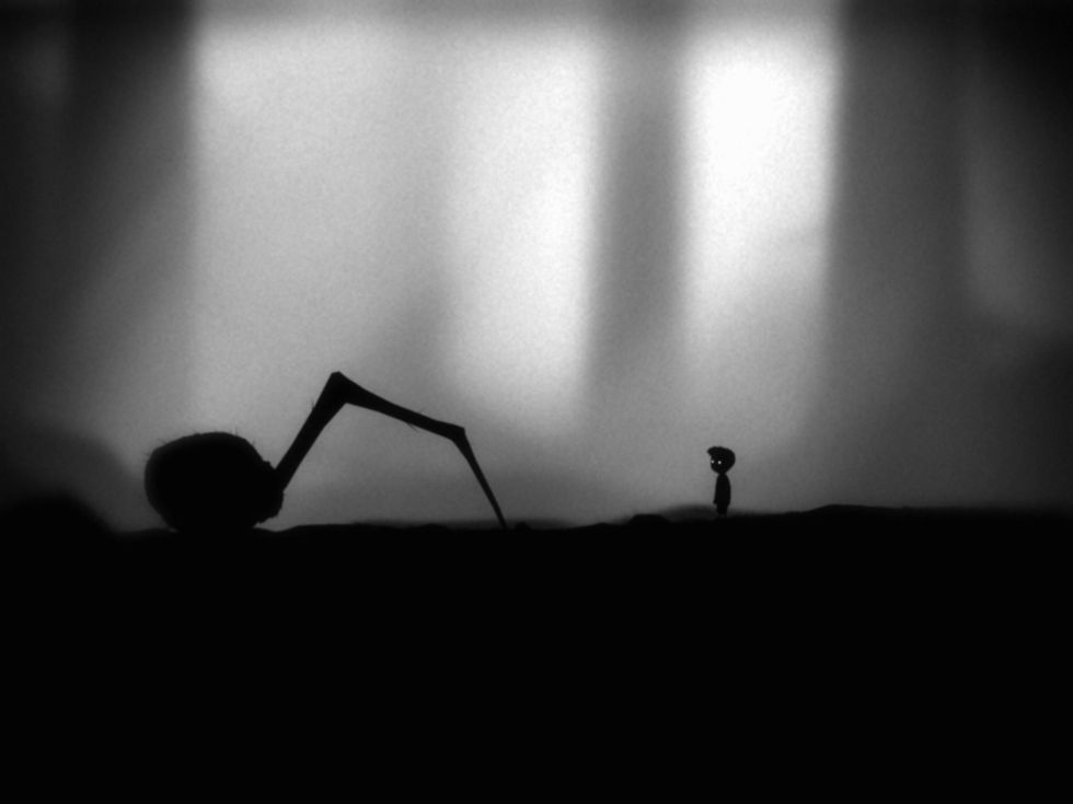 When you see this spider provoke it