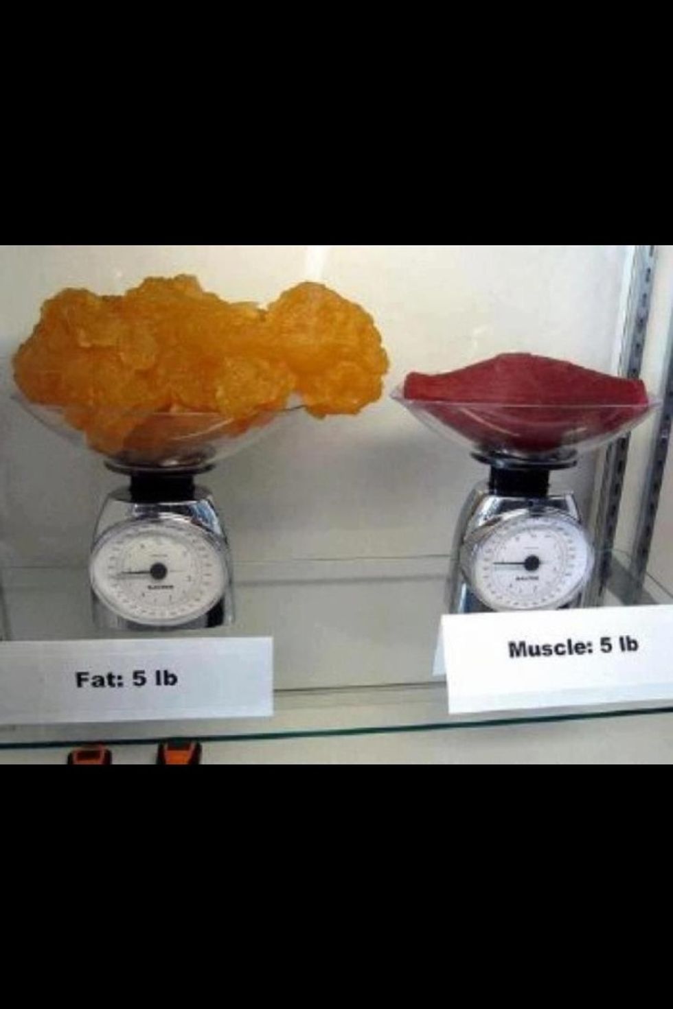 When you start exercising remember the scales will lie. Use body measurements or clothing as a judge to see if you are losing weight. Muscle weighs alot more than fat for its size.