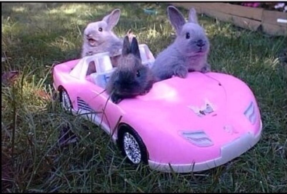 When your life's rough get with some friends and have some fun!!