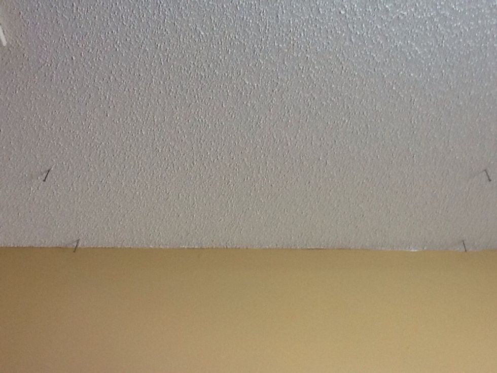 Where are the floor joists located?