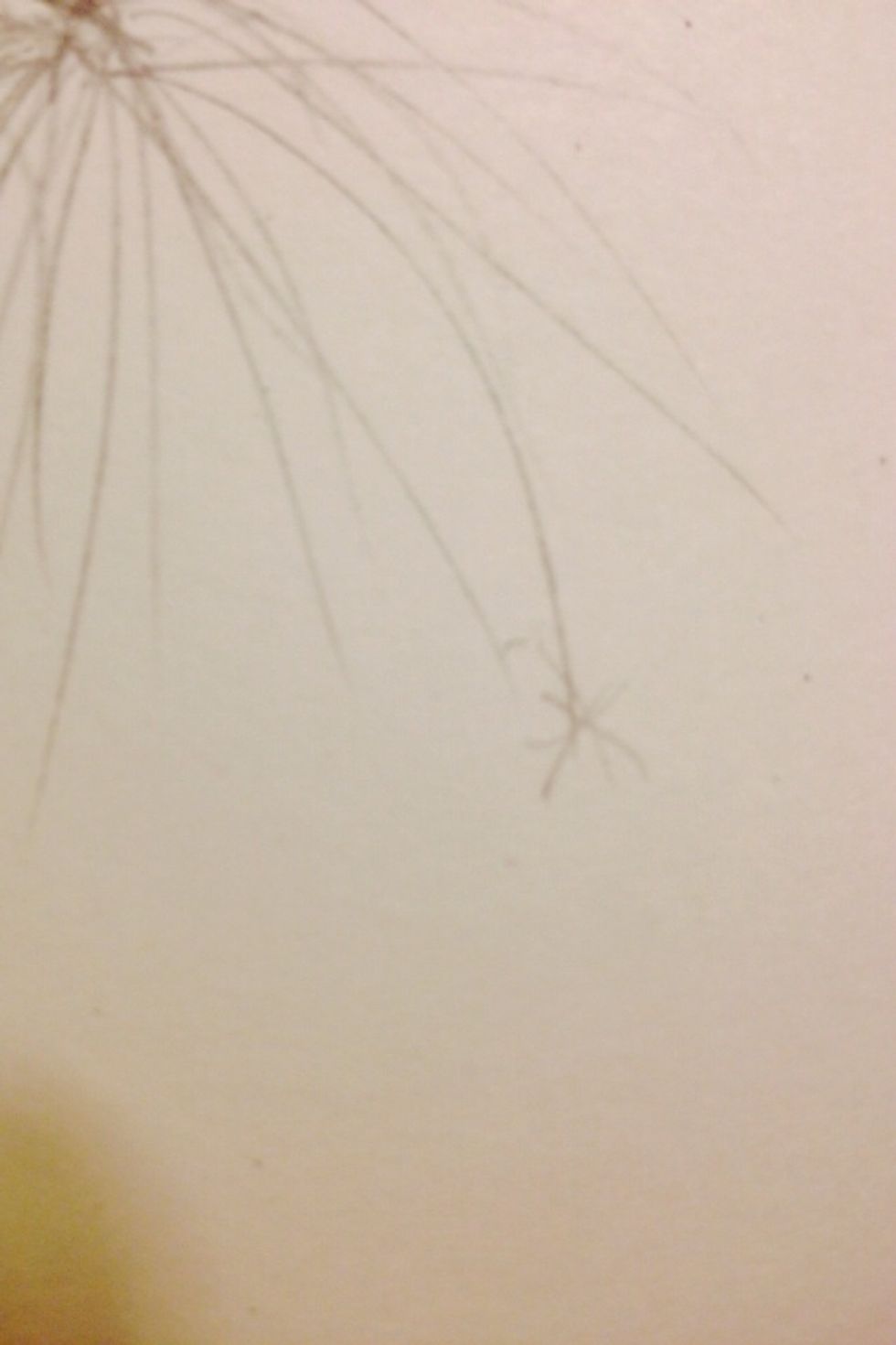 Where you ended your straight lines, make small x's at the ends to every straight line you have.