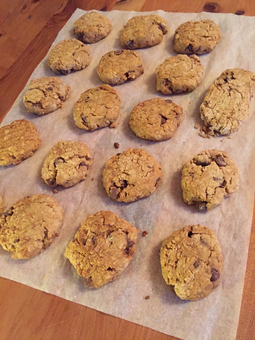 Which we had smell vision