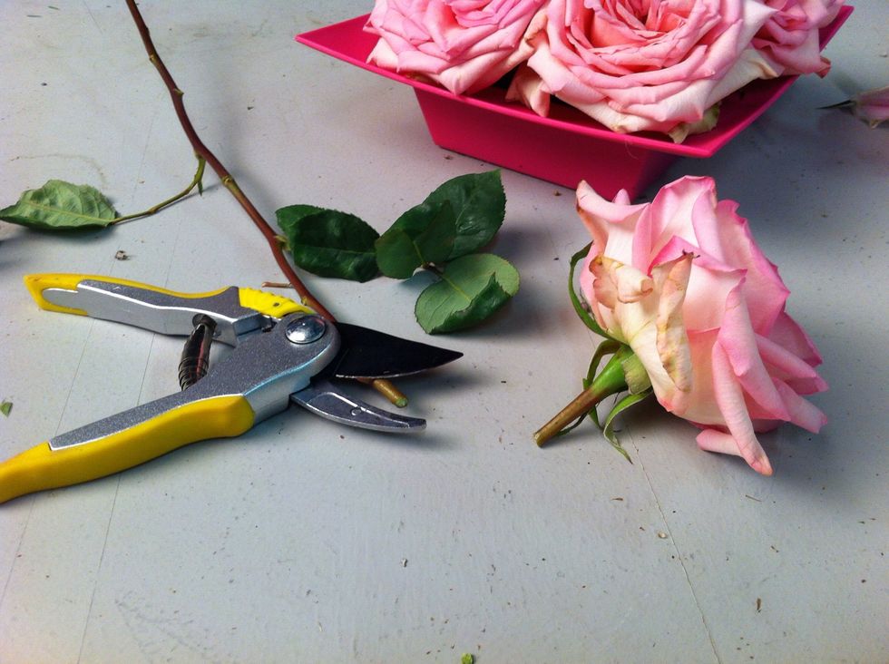 While composite flower dries, cut rose stems to 2" long using branch cutter.