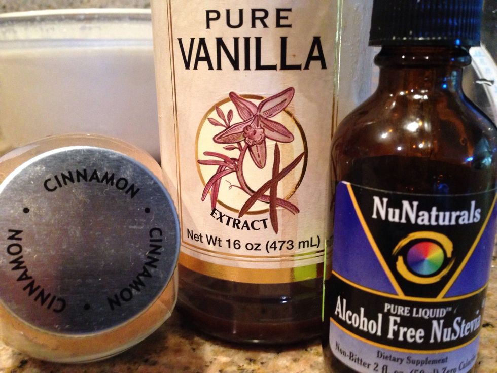 While in the bowl I added a tsp. of Vanilla, a few pinches of Cinnamon & 14 drops of Liquid Stevia.