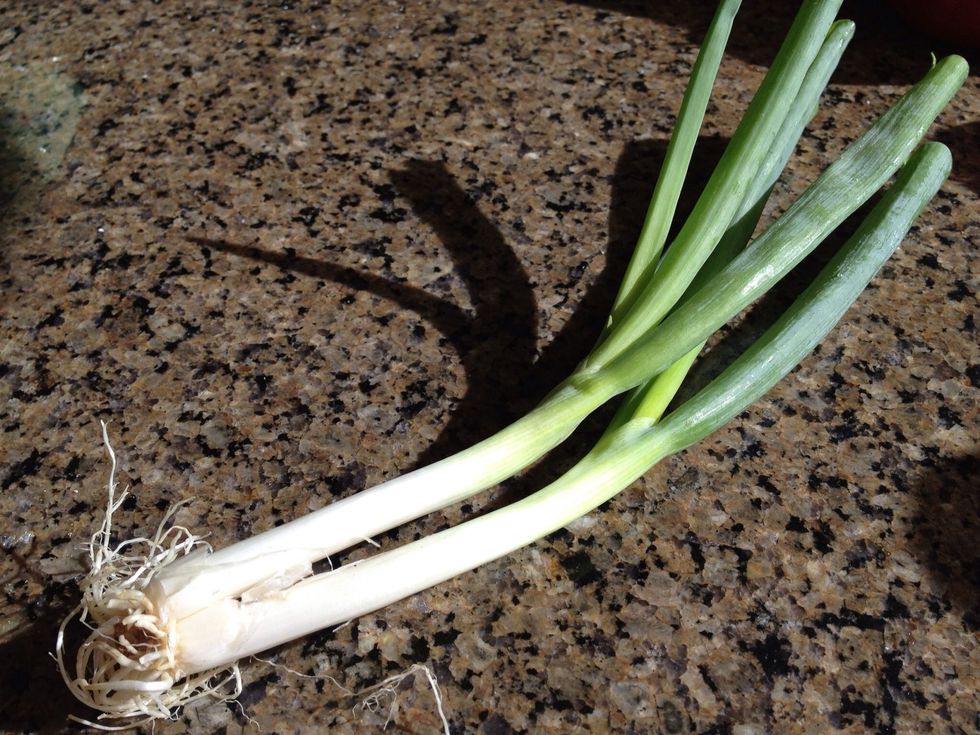 While rice is cooking, wash one scallion.
