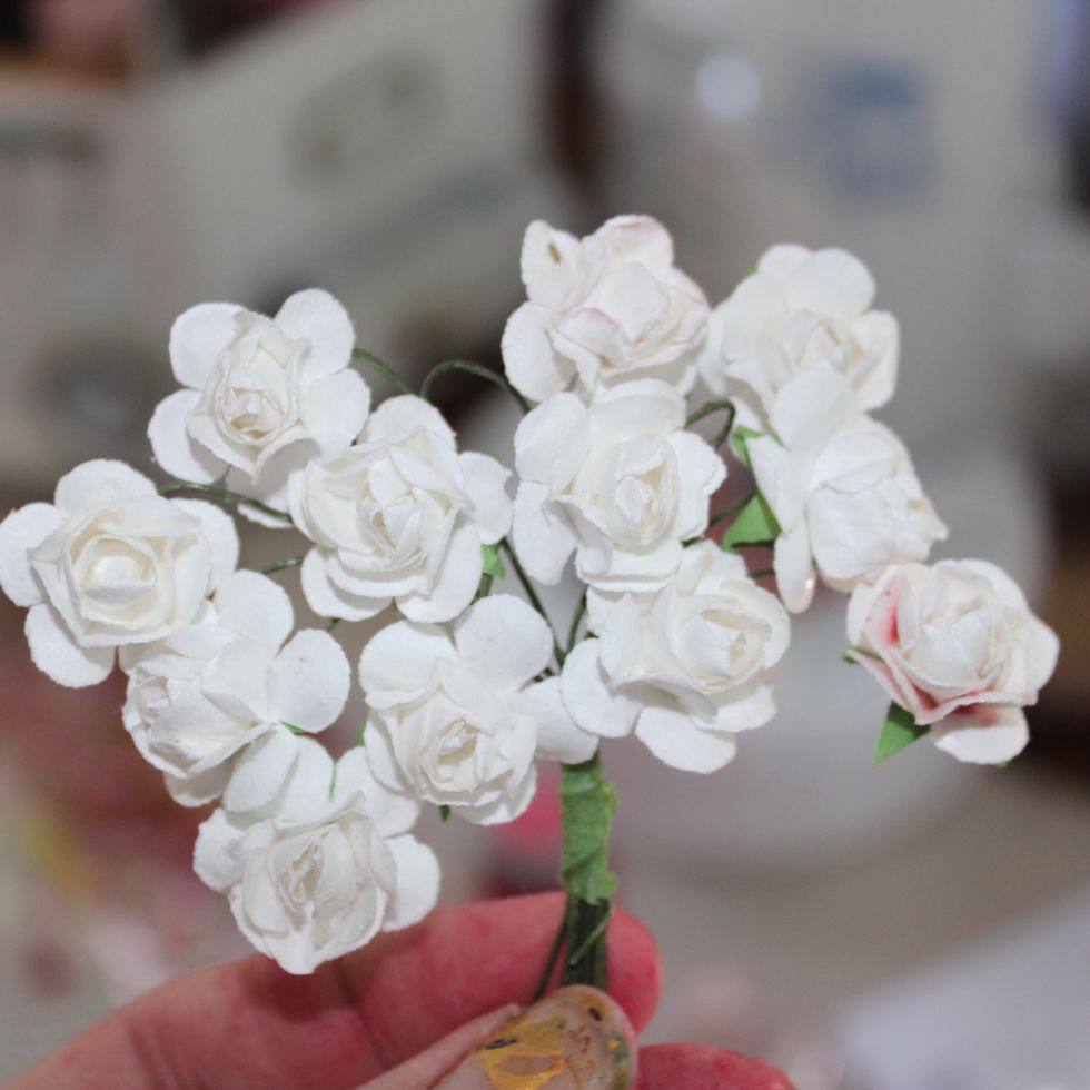 While the bra was drying I took some white paper flowers and misted them with Colorations in Barbie
