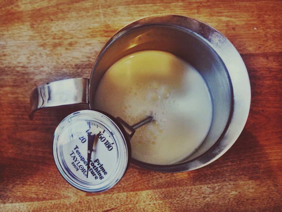 While waiting for the "green light" pour desired milk (almond, soy, goat, 1%, 2%, whole, etc.) into pitcher and insert thermometer.