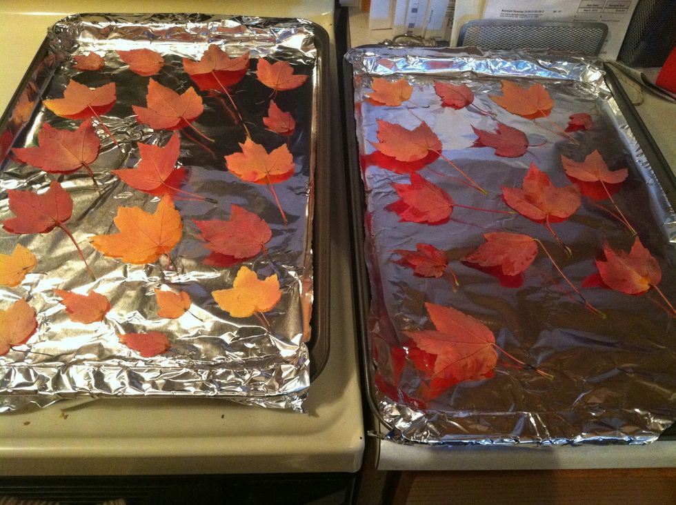 While your chocolate is melting, lay all your leaves out on the cookie sheets--face DOWN. I discovered that if you use the back of the leaves, you can see more of the veins.
