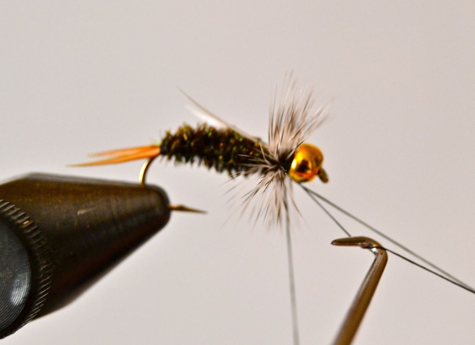 Whip finish and finish tying.