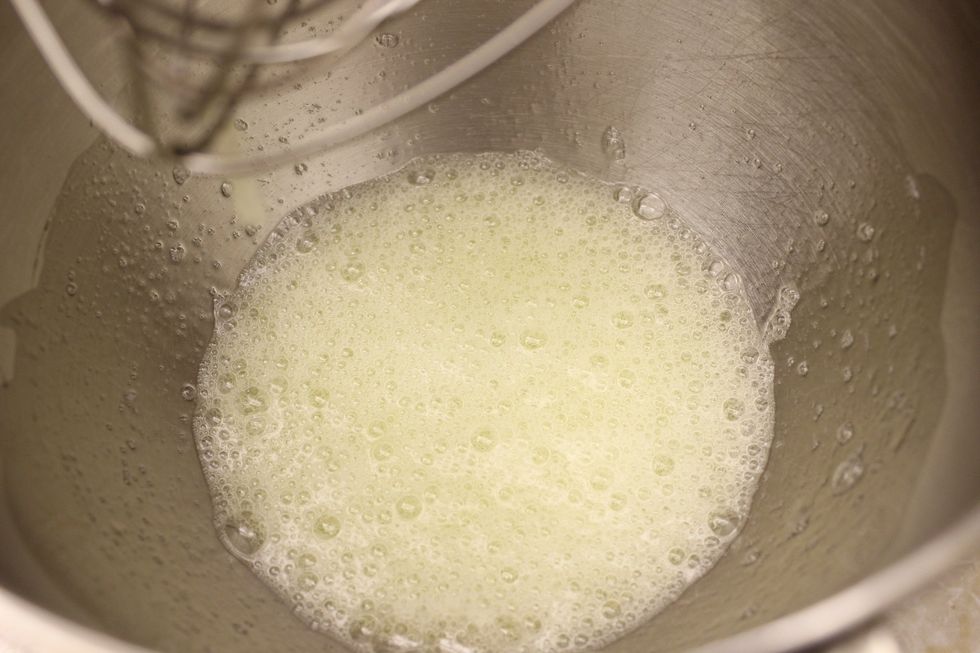 Whip until foamy.