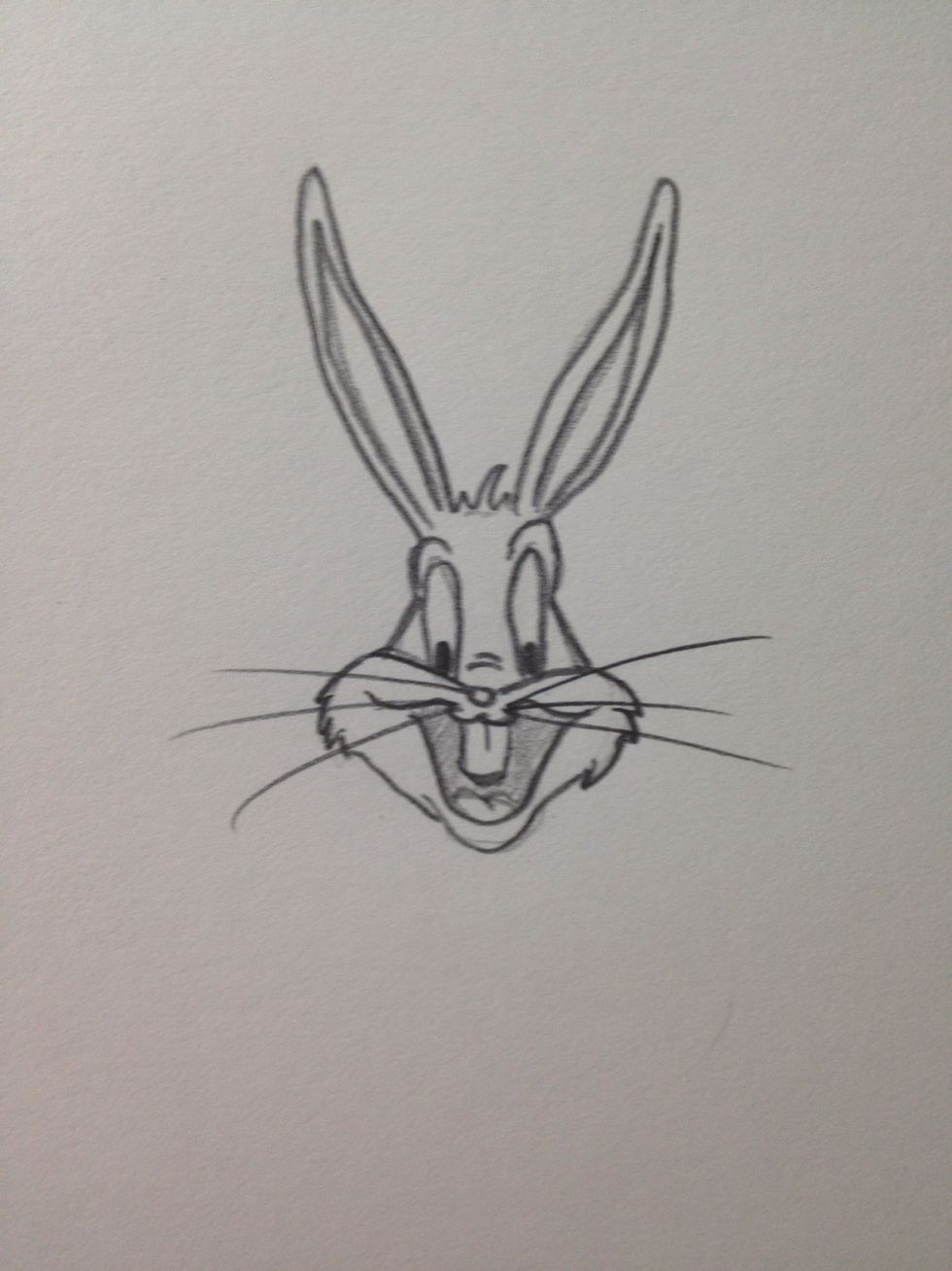 Whiskers to finish it off