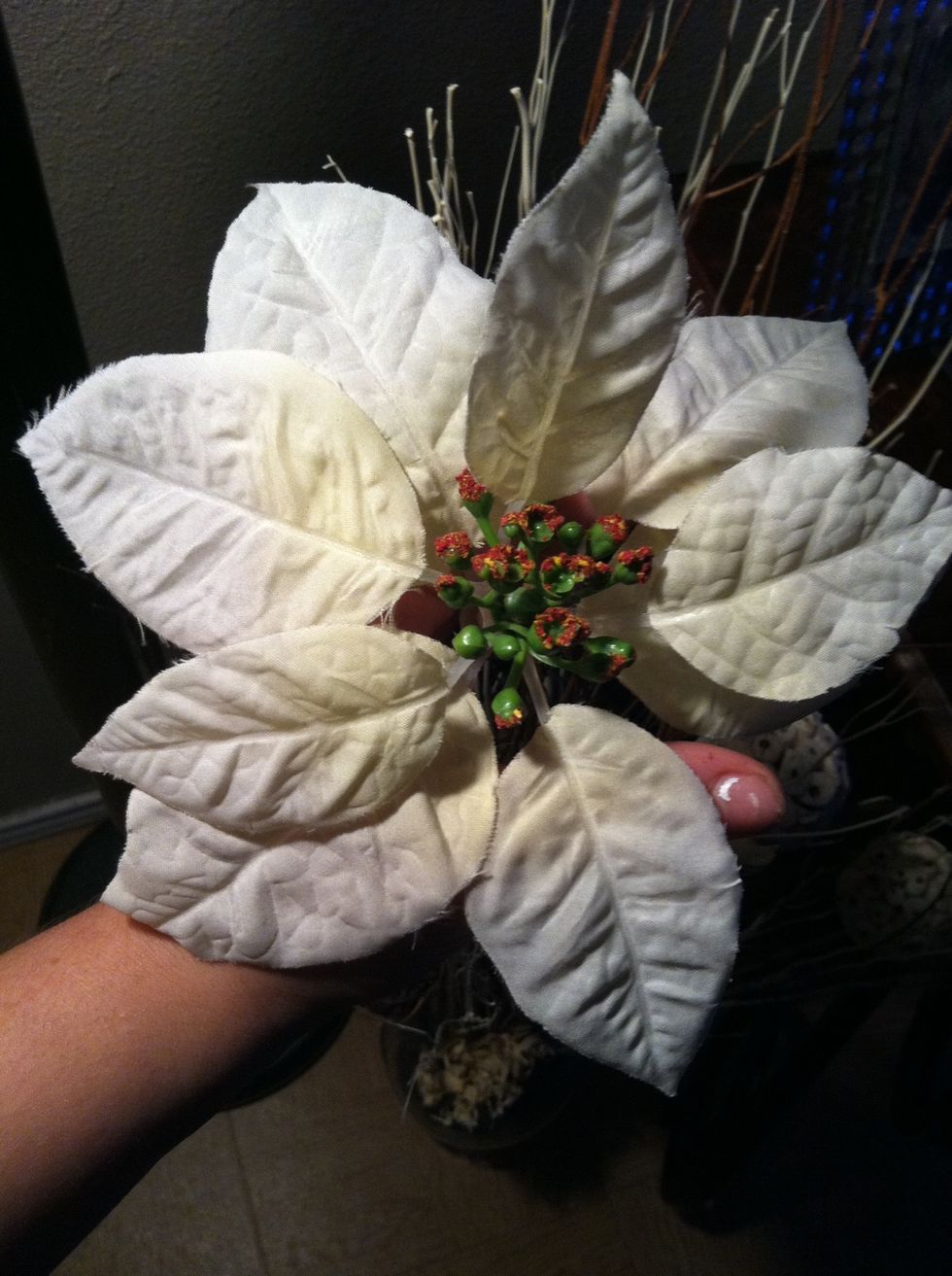 White cute flower I got at hobby lobby!
