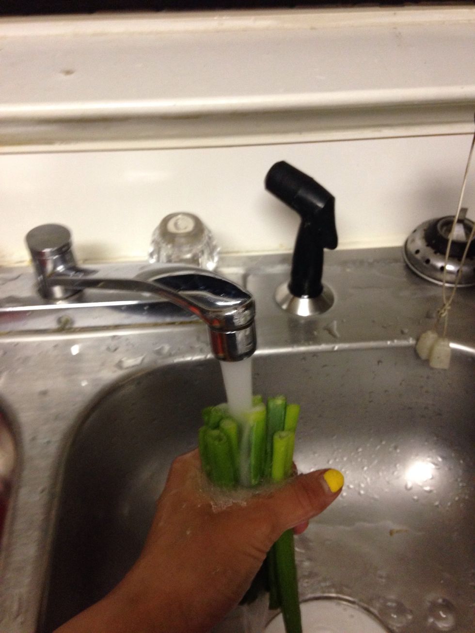 Whole bunch of green onions