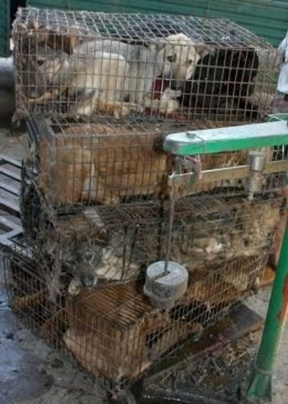 Why would anyone do this? I'm not showing anything worse than this . Don't worry.