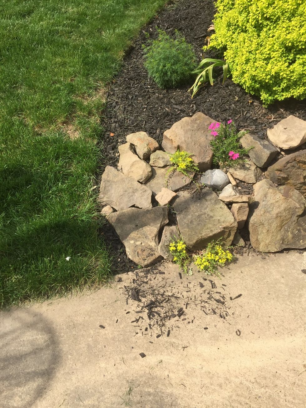 Wind and water pushes and carries the mulch to the driveway at the bottom (Deposition)