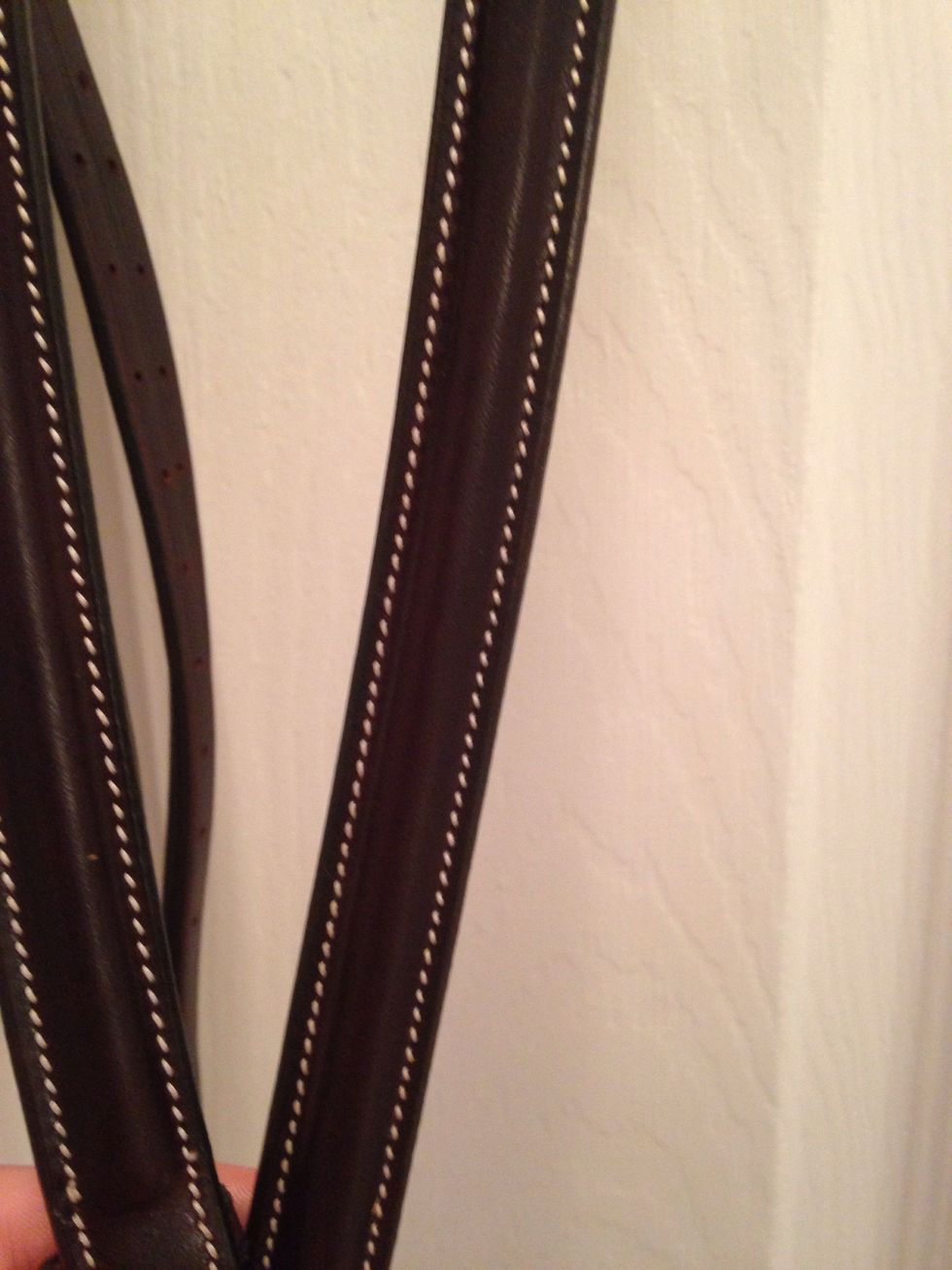 Wipe the whole bridle once more with a damp sponge, cleaning any leftover oil