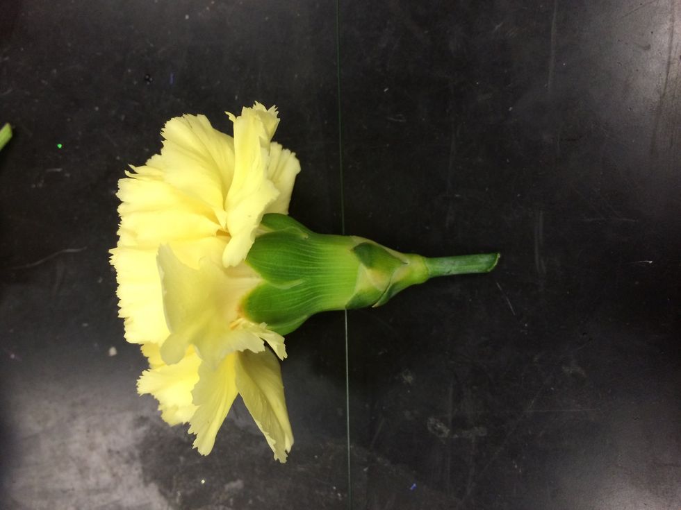 wire the next flower using the piercing method as well. remember to fold the wire down on both sides