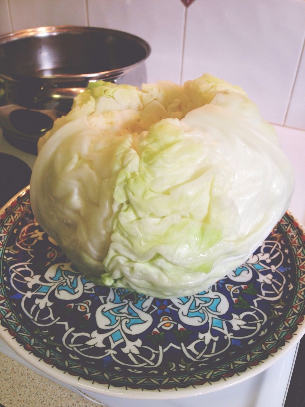 With a carving fork or similar utensil, remove wilted cabbage from pot of water and place on a large plate/tray until cool enough to handle.