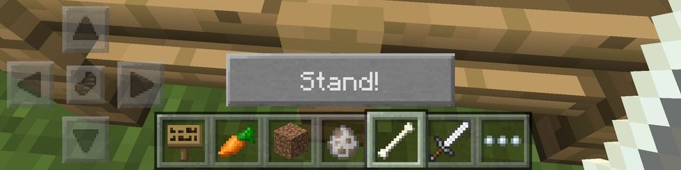 With a trained wolf, you can either ask it to stand, which will make the wolf follow you around the world or........