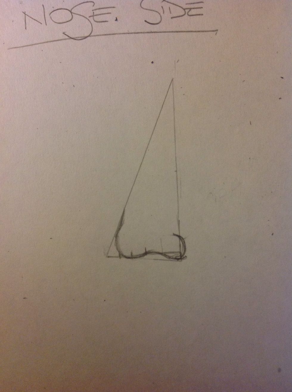 With circular strokes draw the basic shape of the nose