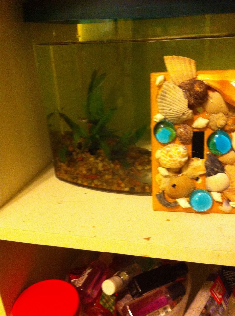 With my little fishes