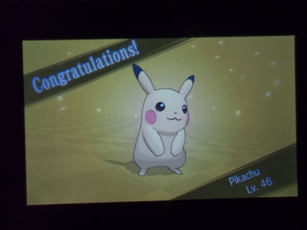 With Pikachu's training complete, it's time to finalize him. Figure out a battle strategy, determine his moves, what item he should hold. It's up to you now to make him shine out from the crowd.