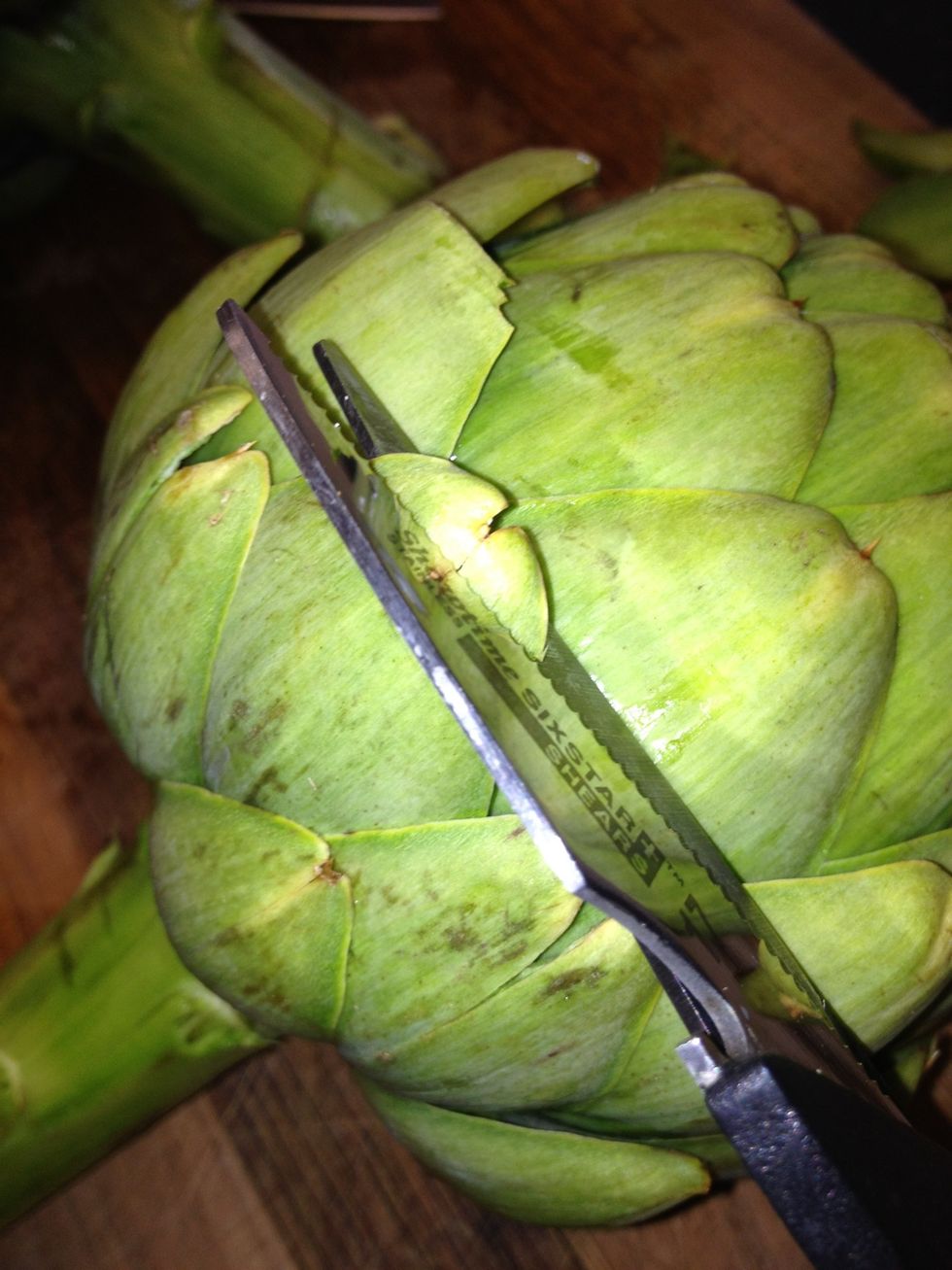 With scissors trim the tips off of each leaf until grooming is complete