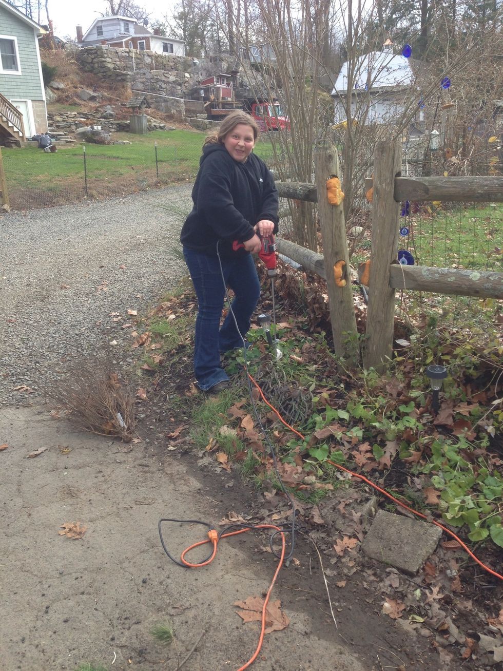With supervision if doing this with children, drill hole as far as augur blade goes (6-12").