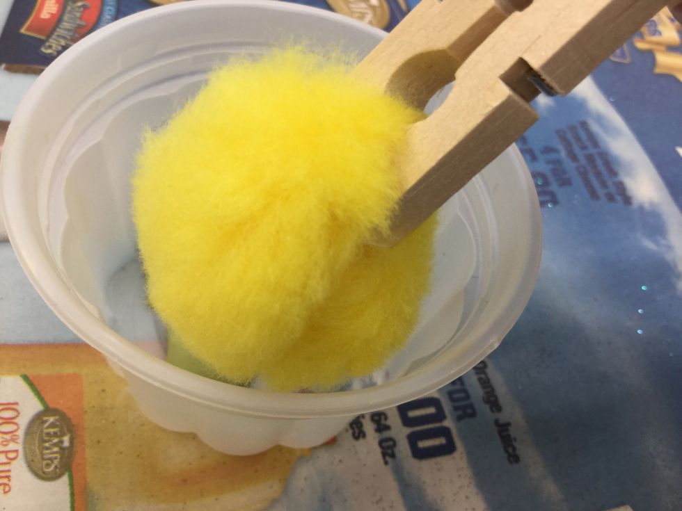 With the pompon clipped into the clothespin, gently dip into the paint.