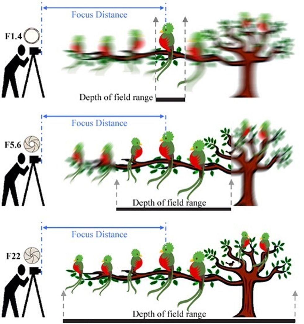 Without getting too technical, you will want to use these 3 factors to achieve a shallow depth of field which is the area that is in focus, so shallow = more blurring.