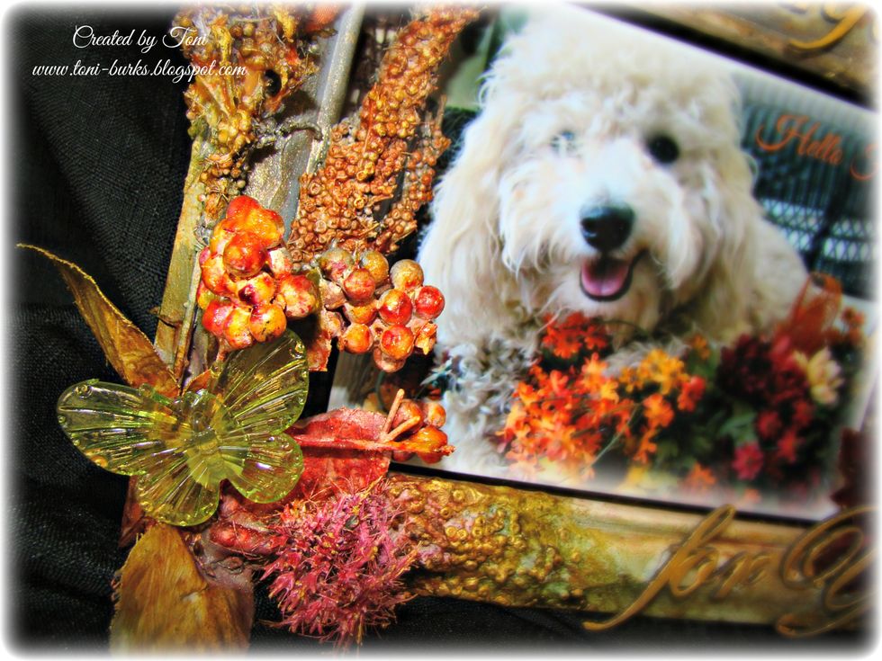 Wonderful textures and colors, really adds to my photo. The butterfly was also dabbed with Metal Effects Gold for highlights.